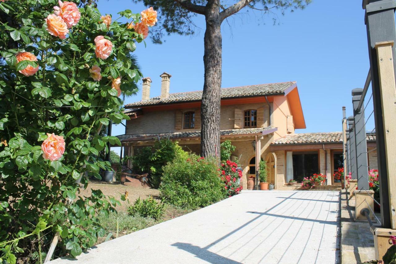 B&B Il Cavallino Civitanova Alta ภายนอก รูปภาพ